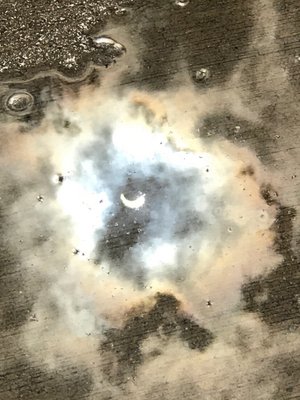 Eclipse Reflected in Puddle, photo by Nancy Parshall